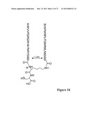 Synthetic Antibodies diagram and image