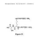 Synthetic Antibodies diagram and image