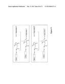 Synthetic Antibodies diagram and image