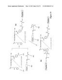 Synthetic Antibodies diagram and image