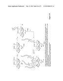 Synthetic Antibodies diagram and image