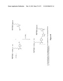 Synthetic Antibodies diagram and image