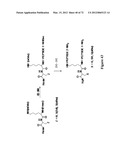 Synthetic Antibodies diagram and image