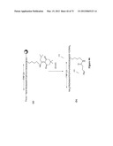 Synthetic Antibodies diagram and image