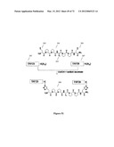 Synthetic Antibodies diagram and image