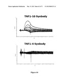 Synthetic Antibodies diagram and image