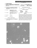 METHOD OF MASS PRODUCING GROWTH FACTOR USING ADIPOSE DERIVED ADULT STEM     CELLS diagram and image