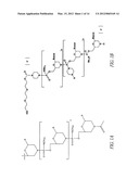 OLIGONUCLEOTIDE ANALOGUES HAVING MODIFIED INTERSUBUNIT LINKAGES AND/OR     TERMINAL GROUPS diagram and image