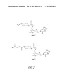 OLIGONUCLEOTIDE ANALOGUES HAVING MODIFIED INTERSUBUNIT LINKAGES AND/OR     TERMINAL GROUPS diagram and image