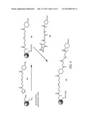 OLIGONUCLEOTIDE ANALOGUES HAVING MODIFIED INTERSUBUNIT LINKAGES AND/OR     TERMINAL GROUPS diagram and image