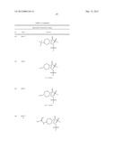 OLIGONUCLEOTIDE ANALOGUES HAVING MODIFIED INTERSUBUNIT LINKAGES AND/OR     TERMINAL GROUPS diagram and image