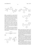 OLIGONUCLEOTIDE ANALOGUES HAVING MODIFIED INTERSUBUNIT LINKAGES AND/OR     TERMINAL GROUPS diagram and image