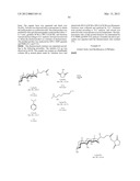 OLIGONUCLEOTIDE ANALOGUES HAVING MODIFIED INTERSUBUNIT LINKAGES AND/OR     TERMINAL GROUPS diagram and image