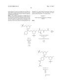 OLIGONUCLEOTIDE ANALOGUES HAVING MODIFIED INTERSUBUNIT LINKAGES AND/OR     TERMINAL GROUPS diagram and image