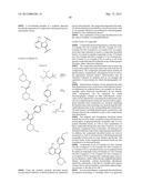 INHIBITORS OF BRUTON S TYROSINE KINASE diagram and image