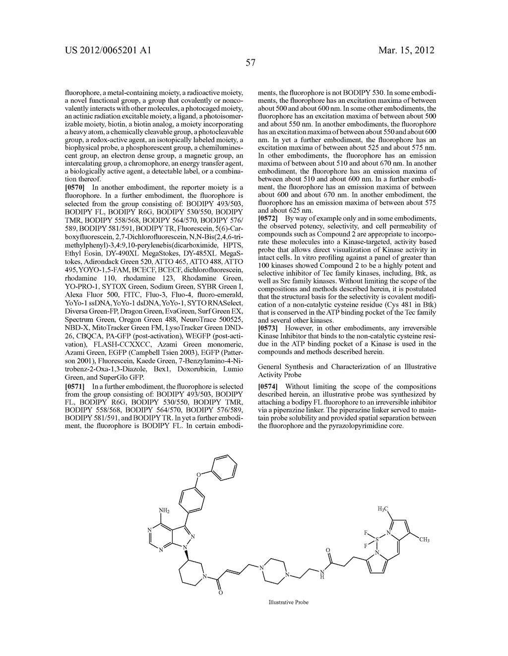 INHIBITORS OF BRUTON'S TYROSINE KINASE - diagram, schematic, and image 65