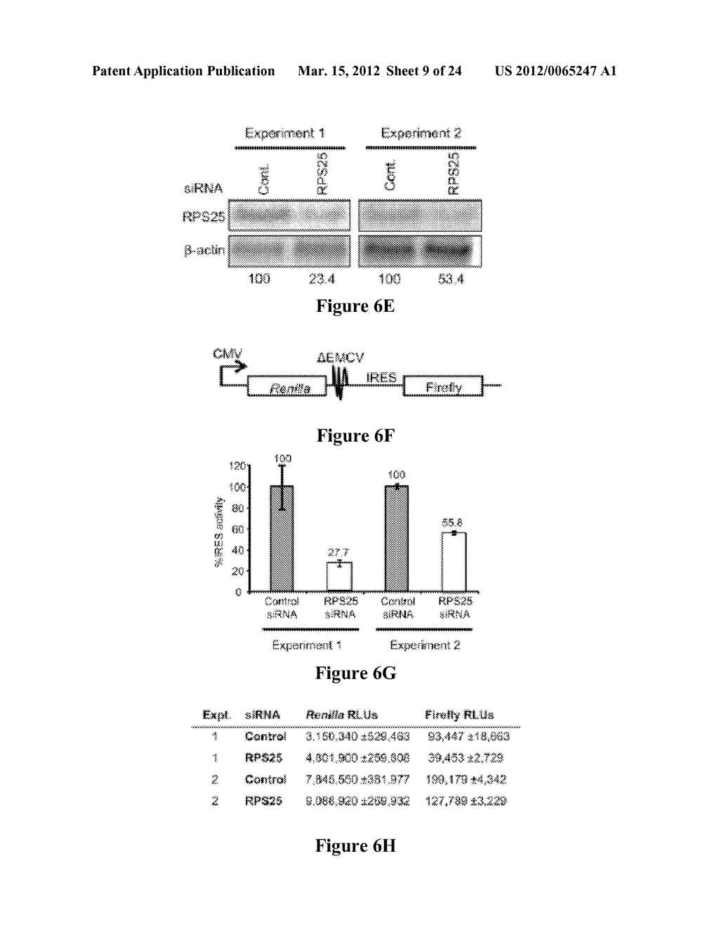 MODULATING IRES-MEDIATED TRANSLATION - diagram, schematic, and image 10