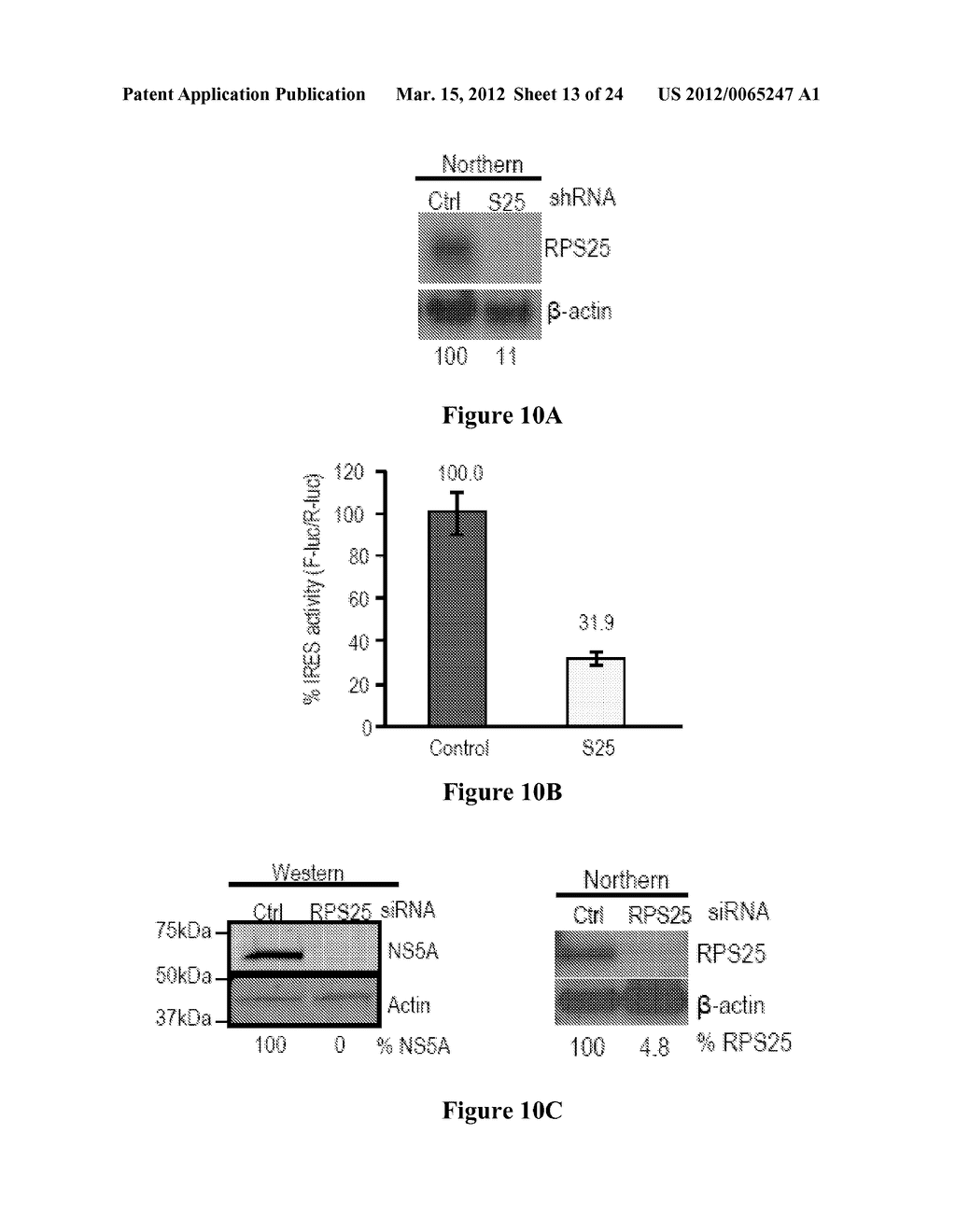 MODULATING IRES-MEDIATED TRANSLATION - diagram, schematic, and image 14