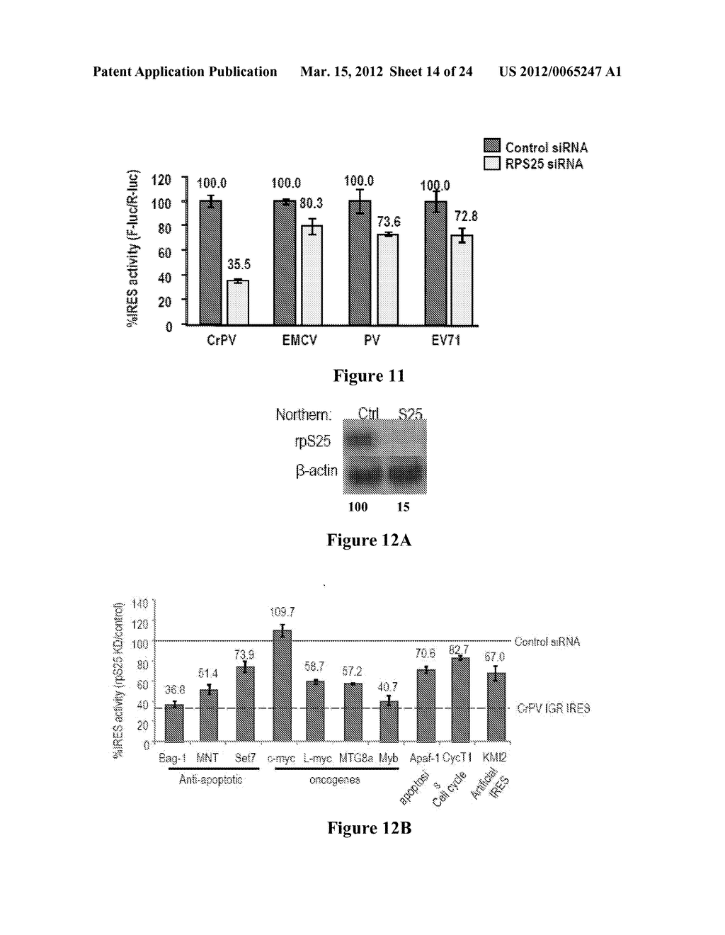 MODULATING IRES-MEDIATED TRANSLATION - diagram, schematic, and image 15