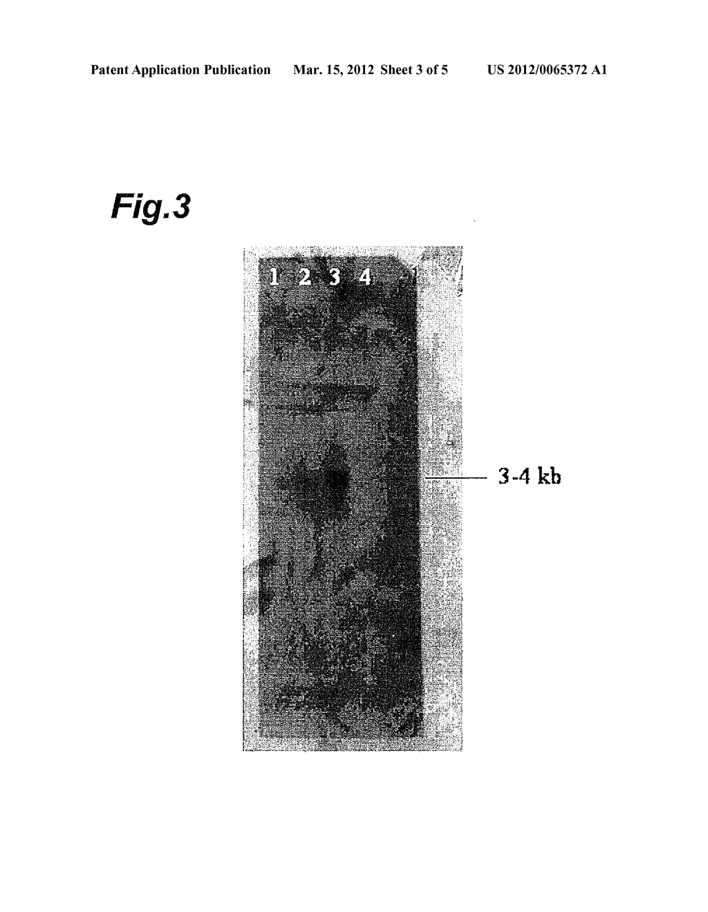 DRAGLINE PROTEIN - diagram, schematic, and image 04