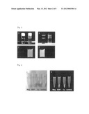 FLUORESCENT MRI PROBE diagram and image