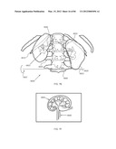 ENERGETIC MODULATION OF NERVES diagram and image