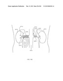 ENERGETIC MODULATION OF NERVES diagram and image