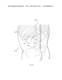 ENERGETIC MODULATION OF NERVES diagram and image