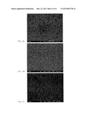 COLLOIDAL SPHERE TEMPLATES AND SPHERE-TEMPLATED POROUS MATERIALS diagram and image