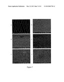 COLLOIDAL SPHERE TEMPLATES AND SPHERE-TEMPLATED POROUS MATERIALS diagram and image