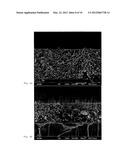 COLLOIDAL SPHERE TEMPLATES AND SPHERE-TEMPLATED POROUS MATERIALS diagram and image