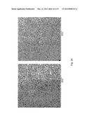 NANOCRYSTAL DOPED MATRIXES diagram and image