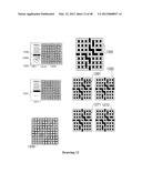 COMPUTER INPUT DEVICE ENABLING THREE DEGREES OF FREEDOM AND RELATED INPUT     AND FEEDBACK METHODS diagram and image