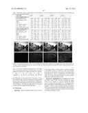 COLOR SEAMLESSNESS ACROSS TILED MULTI-PROJECTOR DISPLAYS diagram and image