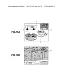 IMAGE DISPLAY APPARATUS, IMAGE DISPLAY METHOD AND RECORDING MEDIUM     RECORDING AN IMAGE DISPLAY PROGRAM diagram and image