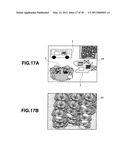 IMAGE DISPLAY APPARATUS, IMAGE DISPLAY METHOD AND RECORDING MEDIUM     RECORDING AN IMAGE DISPLAY PROGRAM diagram and image