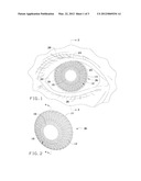 COLOR CHANGING CONTACT LENSES diagram and image