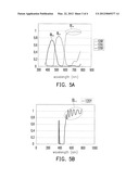 LIQUID CRYSTAL DISPLAY diagram and image