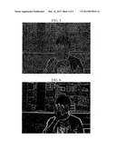 METHOD AND INTERFACE OF RECOGNIZING USER S DYNAMIC ORGAN GESTURE AND ELEC     TRIC-USING APPARATUS USING THE INTERFACE diagram and image