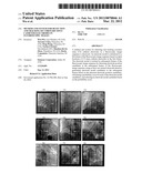 Method and System for Detection and Tracking of Coronary Sinus Catheter     Electrodes in Fluoroscopic Images diagram and image