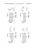 HIF INHIBITORS AND USE THEREOF diagram and image