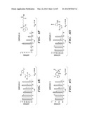 HIF INHIBITORS AND USE THEREOF diagram and image