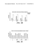 HIF INHIBITORS AND USE THEREOF diagram and image