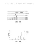 HIF INHIBITORS AND USE THEREOF diagram and image