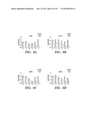 HIF INHIBITORS AND USE THEREOF diagram and image