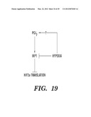 HIF INHIBITORS AND USE THEREOF diagram and image