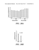 HIF INHIBITORS AND USE THEREOF diagram and image