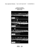 HIF INHIBITORS AND USE THEREOF diagram and image