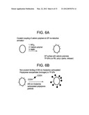 YEAST CELL WALL PARTICLES FOR RECEPTOR-TARGETED NANOPARTICLE DELIVERY diagram and image