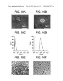 YEAST CELL WALL PARTICLES FOR RECEPTOR-TARGETED NANOPARTICLE DELIVERY diagram and image